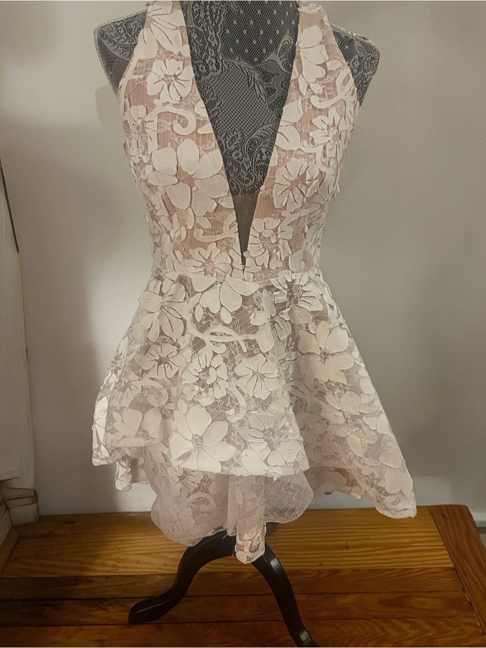 AKIRA Lace Skater Dress in Blush and White